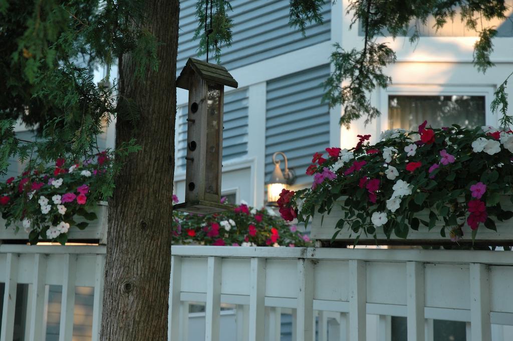 White Rose & Guest house 3*